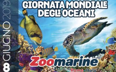 Giornata Mondiale degli Oceani: Zoomarine – 08/06/2019