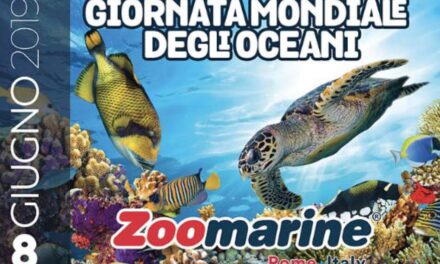 Giornata Mondiale degli Oceani: Zoomarine – 08/06/2019