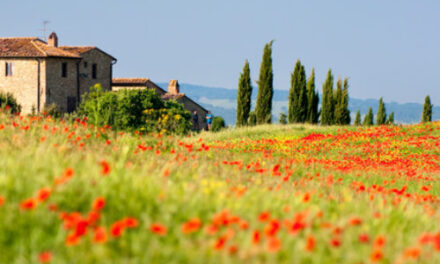 Nuova convenzione con Agricamper Italia – 50% di sconto per i soci