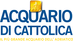 acquariodicattolica02